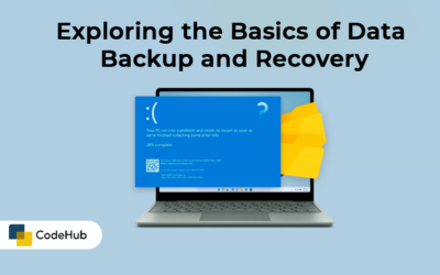 Exploring the Basics of Data Backup and Recovery